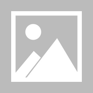 【早报】饮恨亚冠8强！C罗比山东泰山先出局